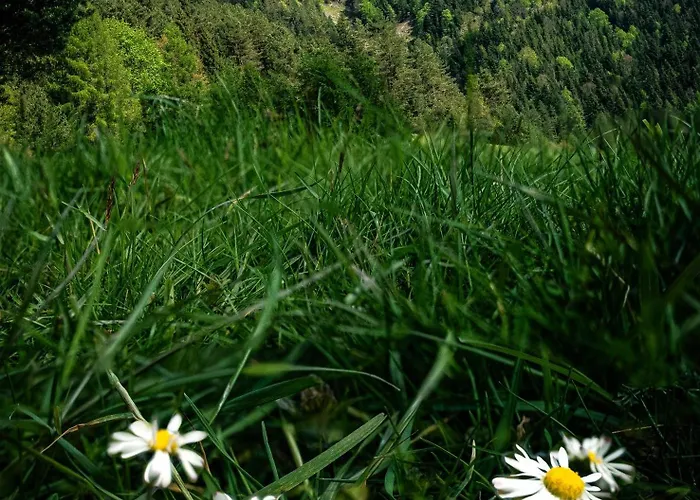 בית הארחה Gazda Sromowce Niżne